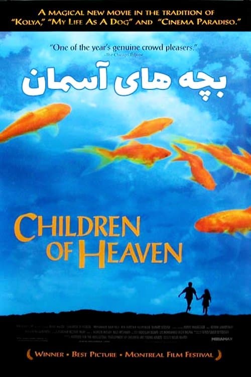 Majid Majidi